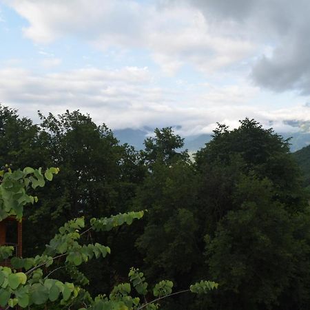 Mars Otel Artvin Dış mekan fotoğraf