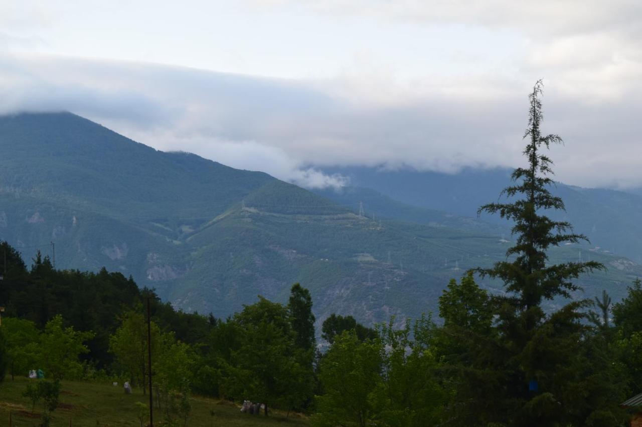 Mars Otel Artvin Dış mekan fotoğraf