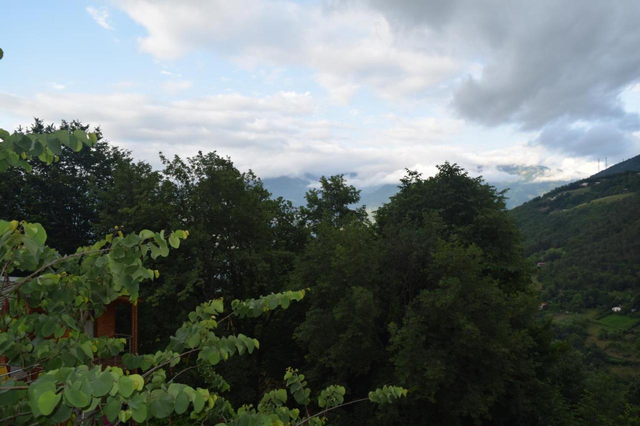 Mars Otel Artvin Dış mekan fotoğraf