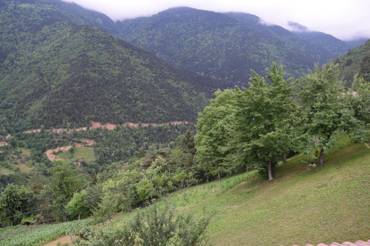 Mars Otel Artvin Dış mekan fotoğraf