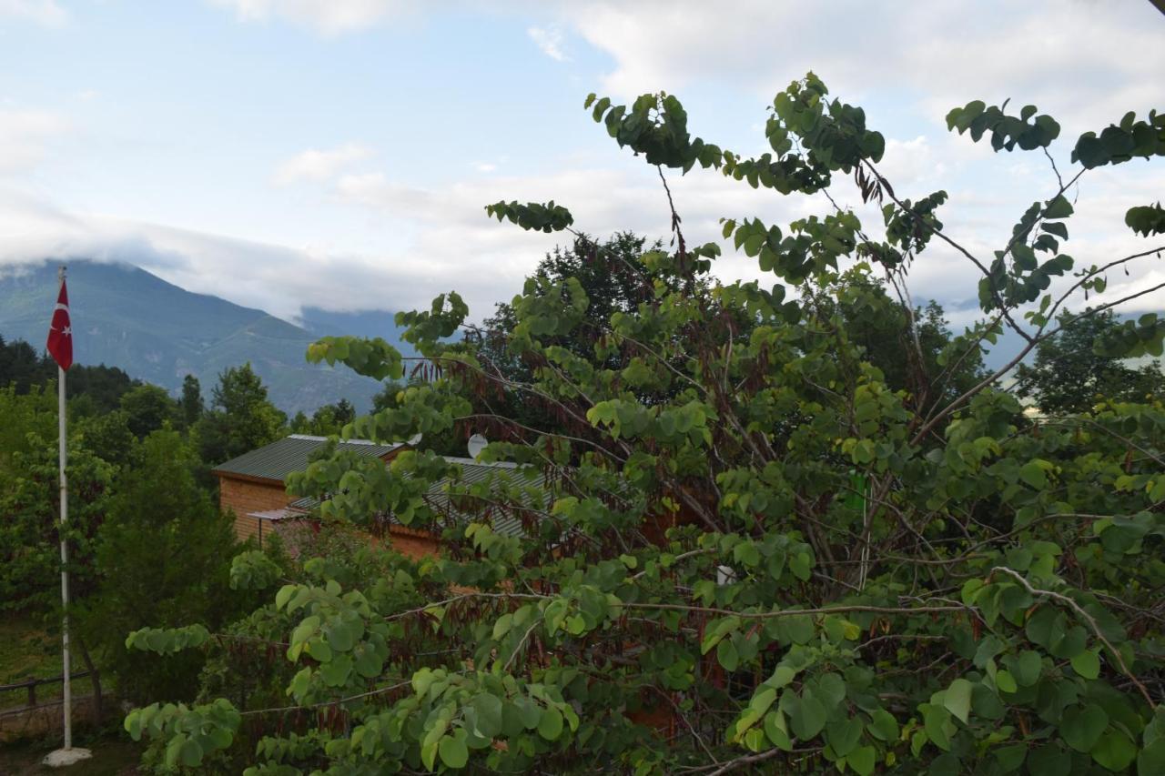 Mars Otel Artvin Dış mekan fotoğraf