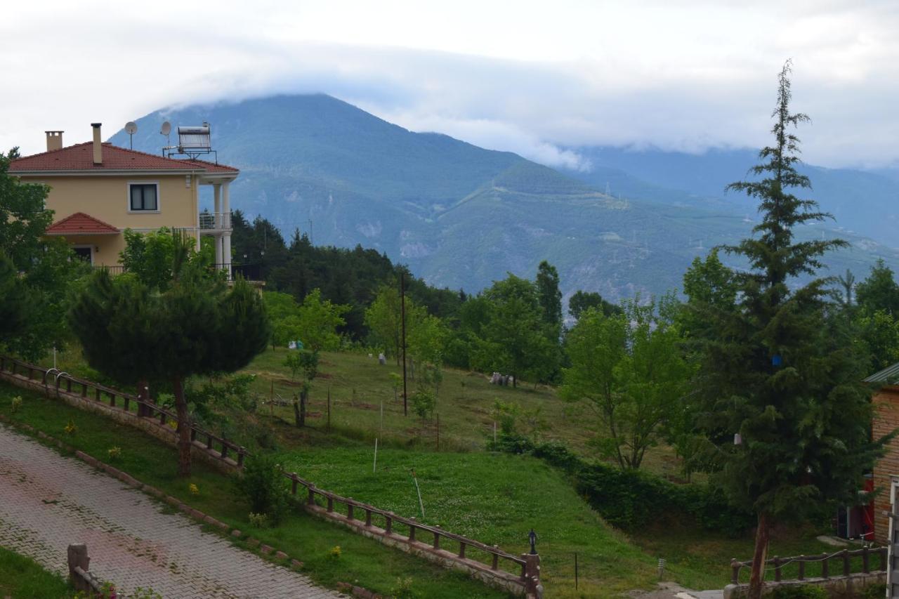 Mars Otel Artvin Dış mekan fotoğraf