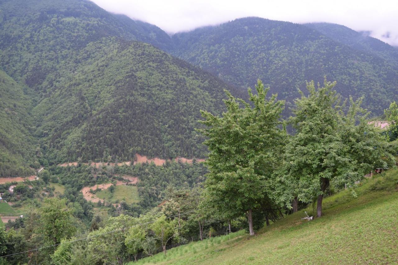 Mars Otel Artvin Dış mekan fotoğraf