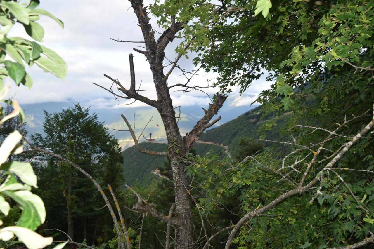 Mars Otel Artvin Dış mekan fotoğraf