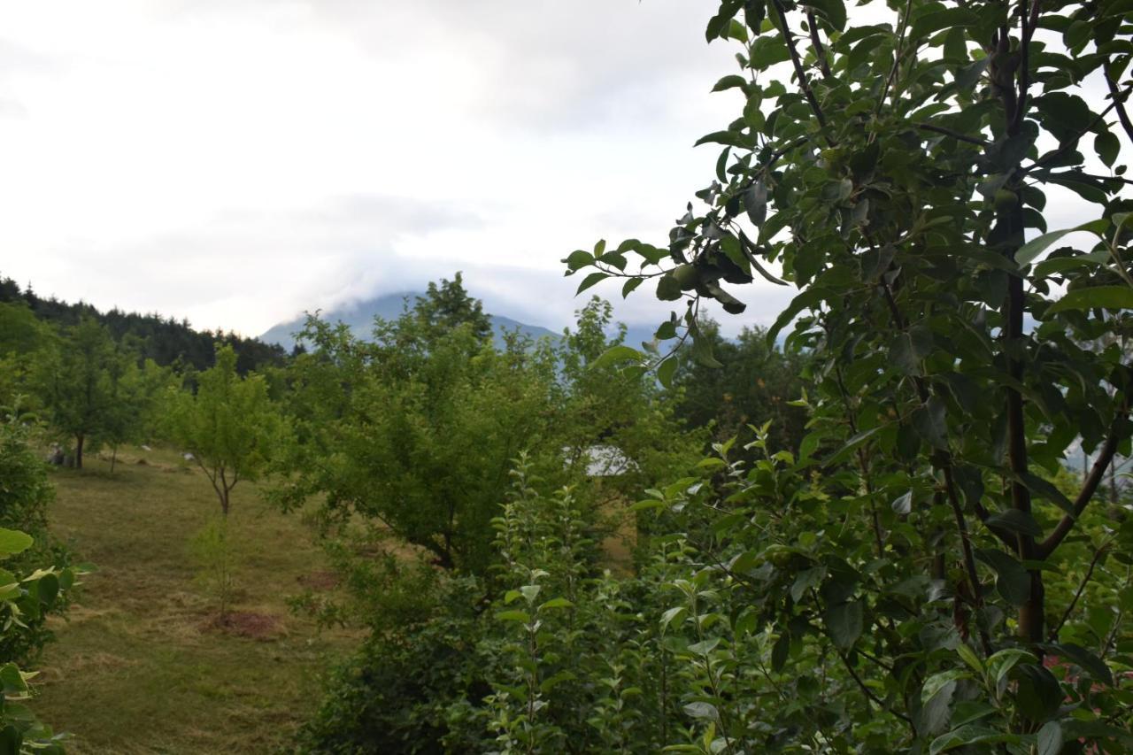 Mars Otel Artvin Dış mekan fotoğraf