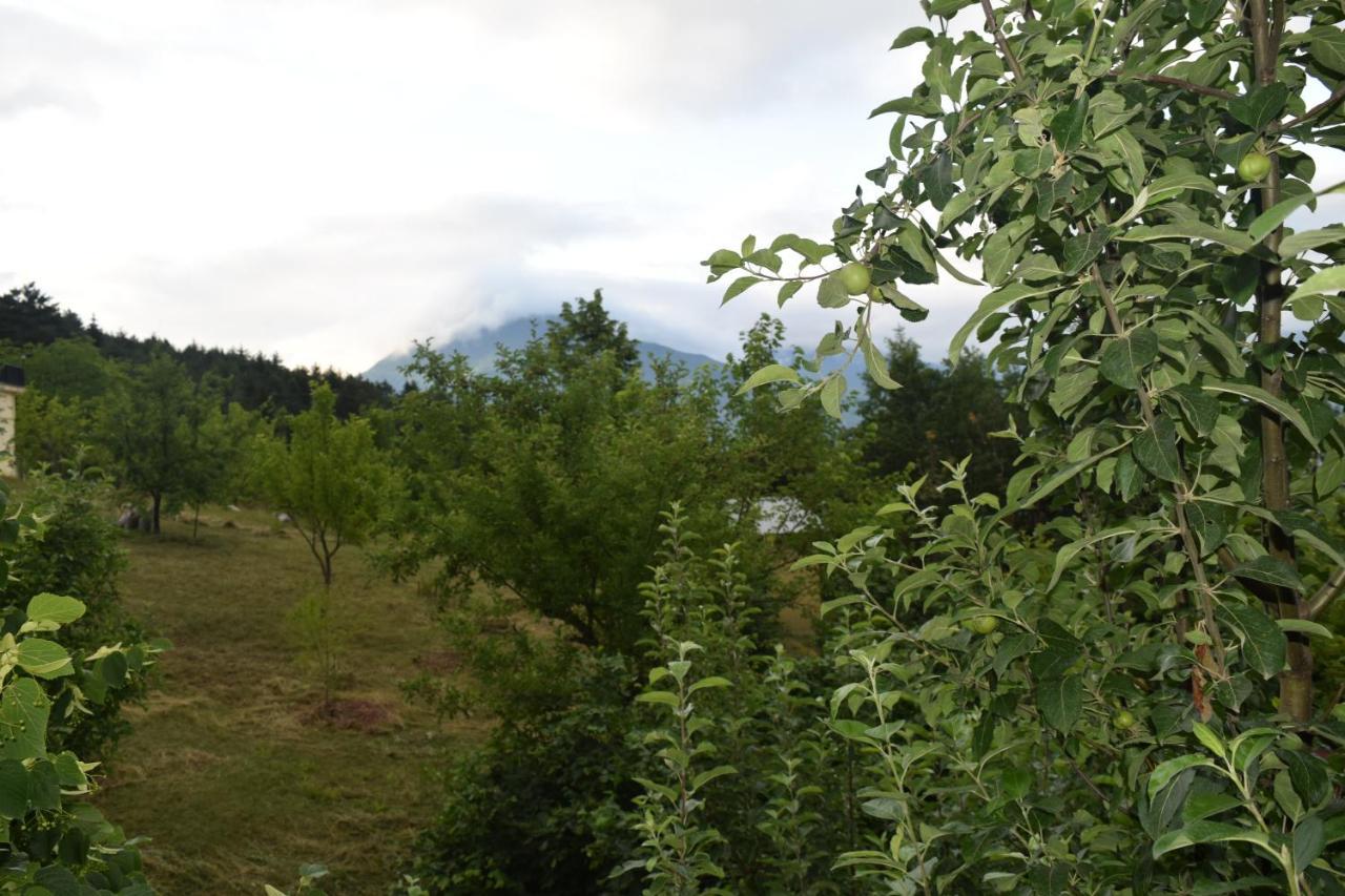 Mars Otel Artvin Dış mekan fotoğraf