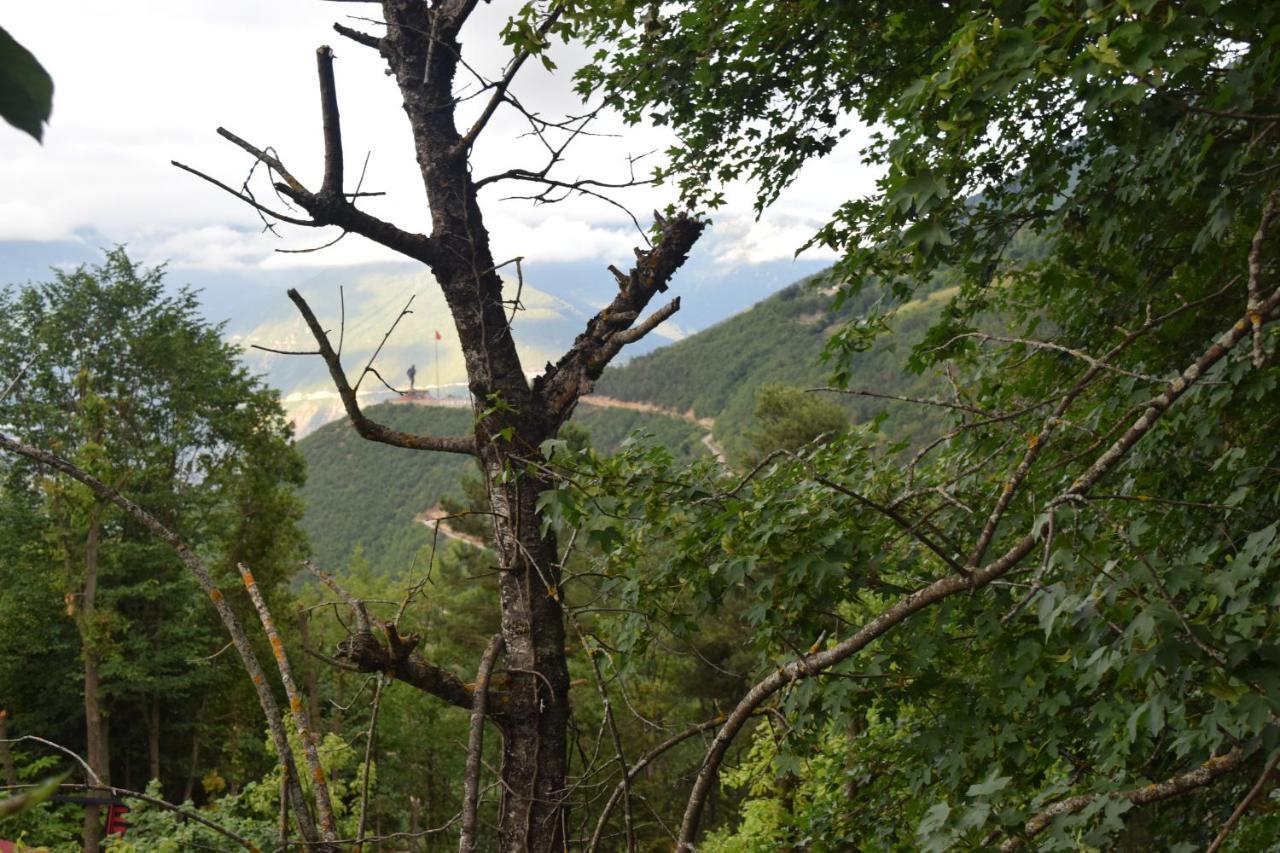 Mars Otel Artvin Dış mekan fotoğraf