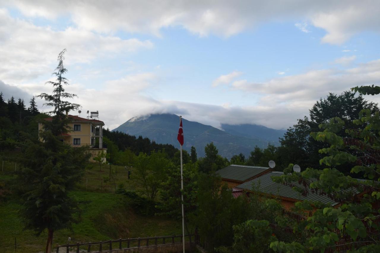 Mars Otel Artvin Dış mekan fotoğraf