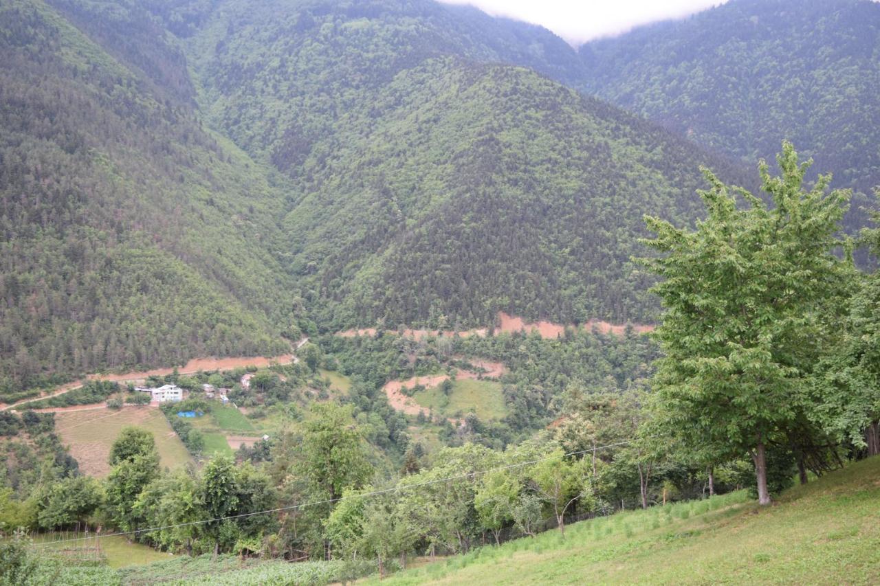 Mars Otel Artvin Dış mekan fotoğraf