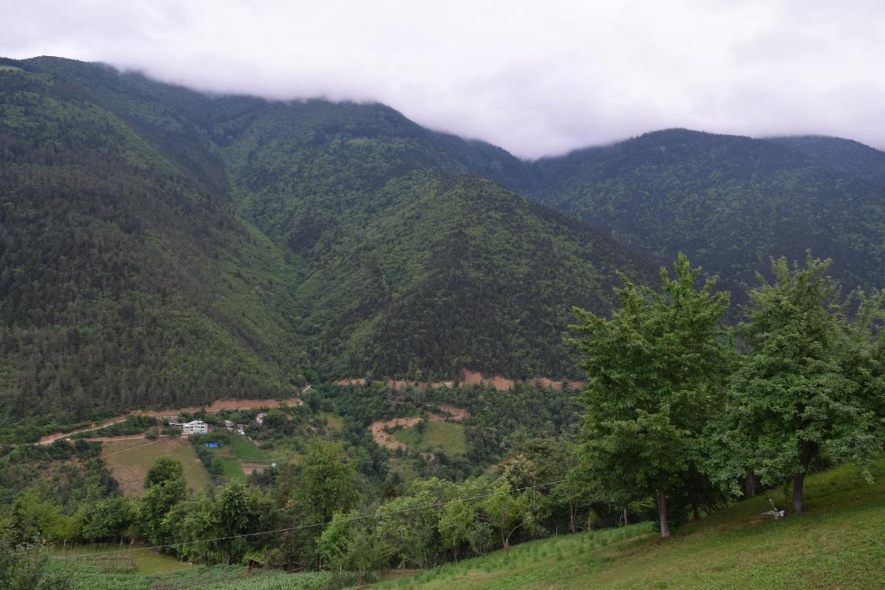 Mars Otel Artvin Dış mekan fotoğraf