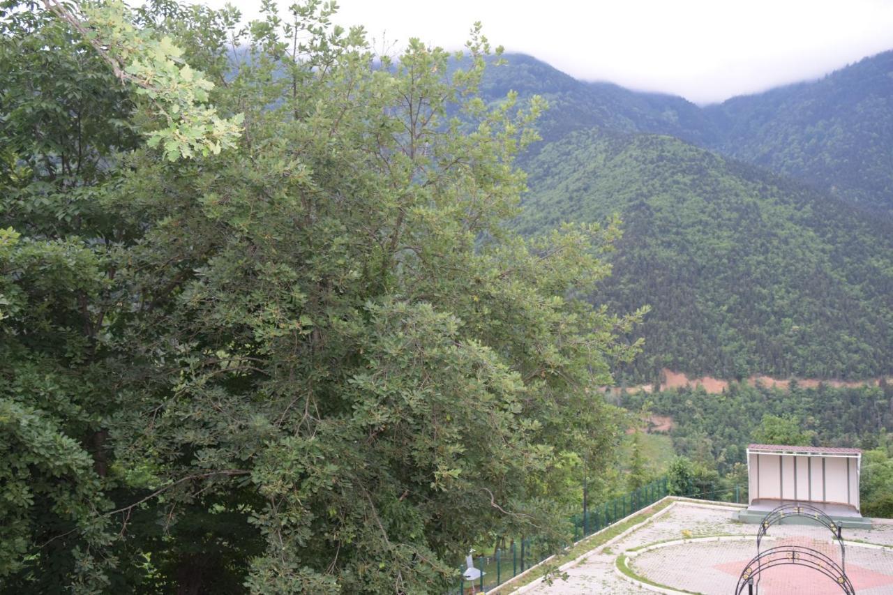 Mars Otel Artvin Dış mekan fotoğraf